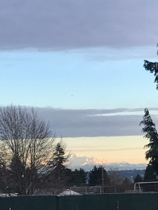 img_2642
