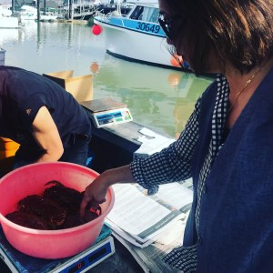 b71c6c8f-4401-4e10-8c51-43f5b2ec7e2e