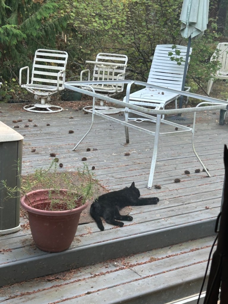 This image has an empty alt attribute; its file name is img_3565.jpg
